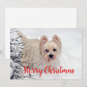 雪のクリスマスカードでウェスティー シーズンカード (正面/裏面)