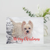 雪のクリスマスカードでウェスティー シーズンカード (スタンド正面)