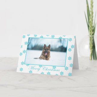 雪のクリスマスカードに入ったドイツの羊飼い。 カード