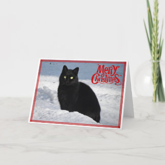 雪のクリスマスカードに登場する黒猫 シーズンカード