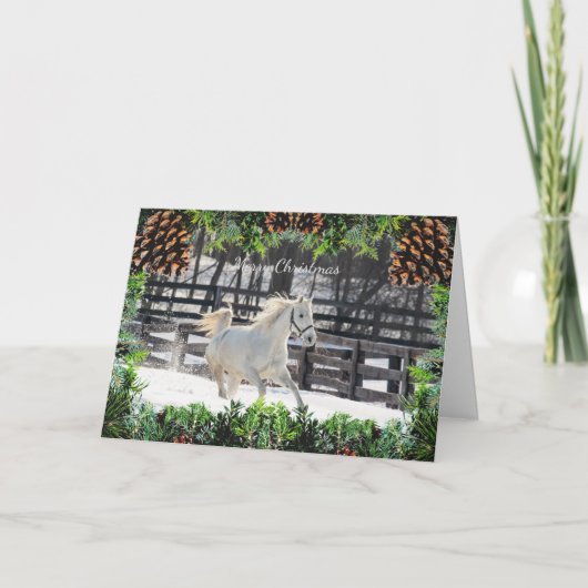 雪のクリスマスカードに白い馬 カード (正面)