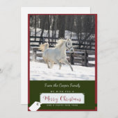 雪のクリスマスカードに白い馬 シーズンカード (正面/裏面)