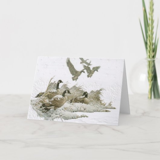 雪のクリスマスカードに野生の空白の鵞鳥 シーズンカード (正面)