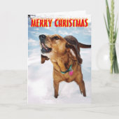 雪のクリスマスカードの吠える犬 シーズンカード (正面)
