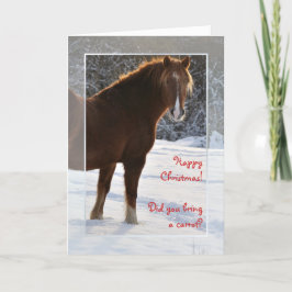雪のクリスマスカードの馬 シーズンカード