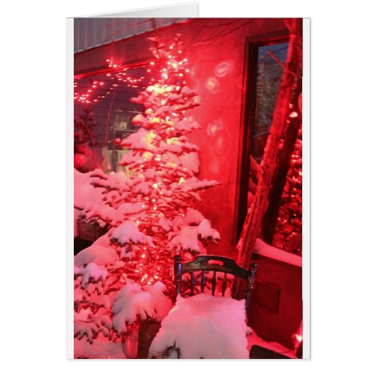 雪のクリスマスツリーライト (正面)