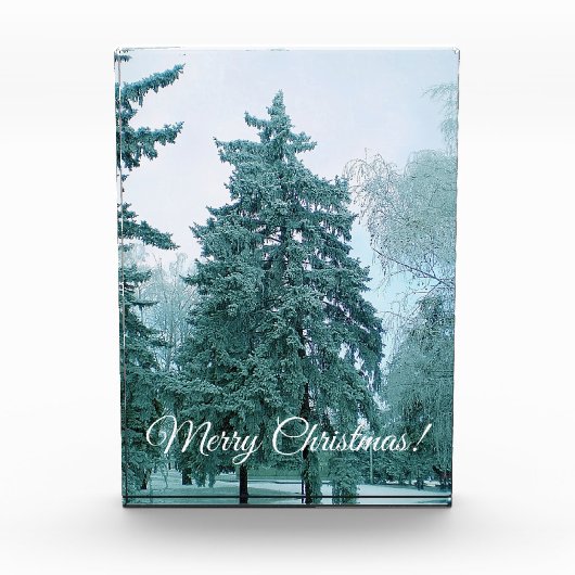 雪のクリスマスツリー フォトブロック (正面)