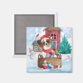 雪のクリスマスドッグハウスのパピロン犬 マグネット (正面/裏面)