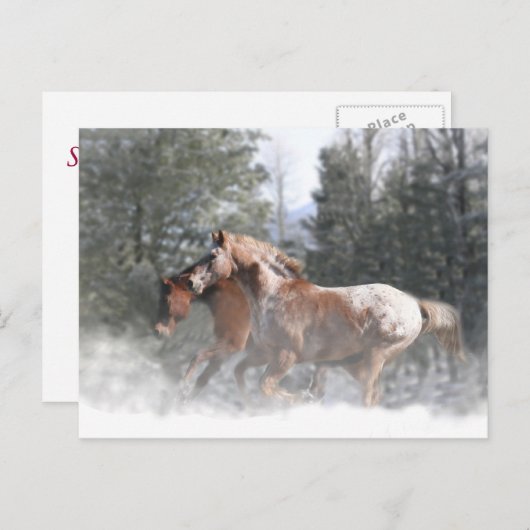 雪のクリスマスハガキに乗った馬 シーズンポストカード (正面/裏面)