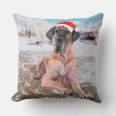 雪のクリスマスハットに座って可愛い大きなデーン犬 クッション (正面)