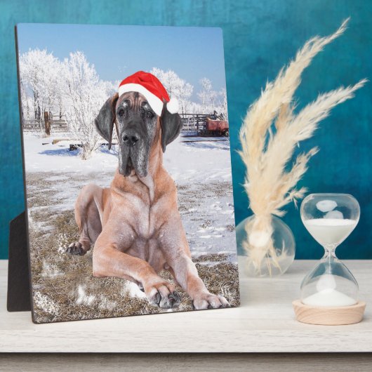 雪のクリスマスハットに座って可愛い大きなデーン犬 フォトプラーク (側面)