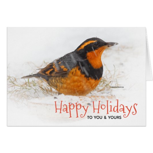 雪のクリスマスホリデーに変化したスリッシュ (正面横)