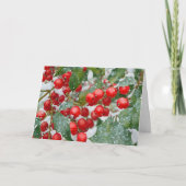 雪のクリスマスホリデーに赤いホリーベリー カード (正面)