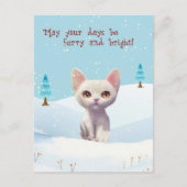 雪のクリスマス ポストカードの白猫 シーズンポストカード (正面)