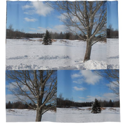 雪のクール多い冬のワンダーランド シャワーカーテン (正面)