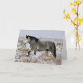 雪のグリーティングカードで歌の野生の馬 カード (黄色い花)