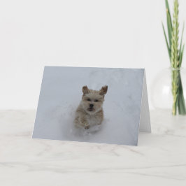 雪のグリーティングカードを駆け抜ける子犬 シーズンカード