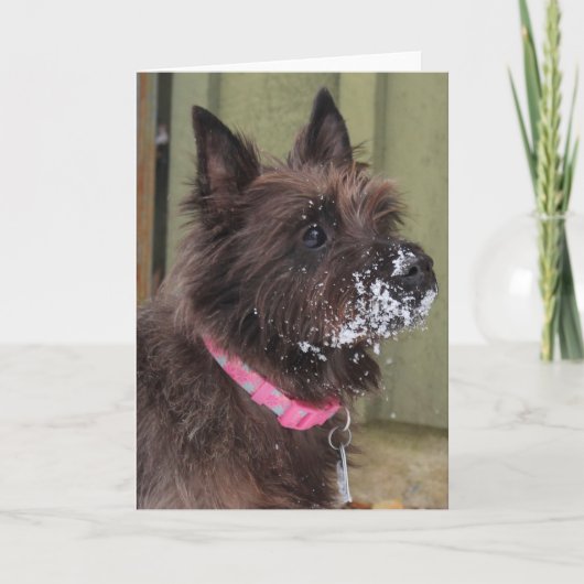 雪のケルン カード (正面)