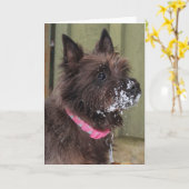 雪のケルン カード (黄色い花)