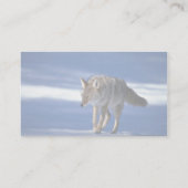 雪のコヨーテ 名刺 (裏面)