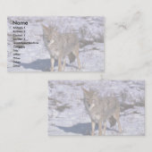 雪のコヨーテ 名刺 (正面/裏面)