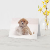 雪のゴールデン・リトリーバーの子犬 カード (黄色い花)