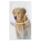 雪のゴールデン・リトリーバー スモールペーパーバッグ (裏面)