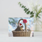 雪のサンタのリス シーズンポストカード (スタンド正面)