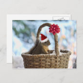 雪のサンタのリス シーズンポストカード (正面/裏面)