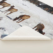 雪のシェルパ毛布にエルク シェルパブランケット (3/4)