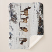 雪のシェルパ毛布にエルク シェルパブランケット (正面)