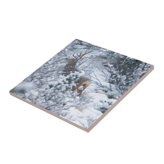 雪のシカ タイル (側面)