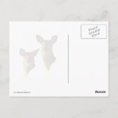 雪のシジカ ポストカード (裏面)