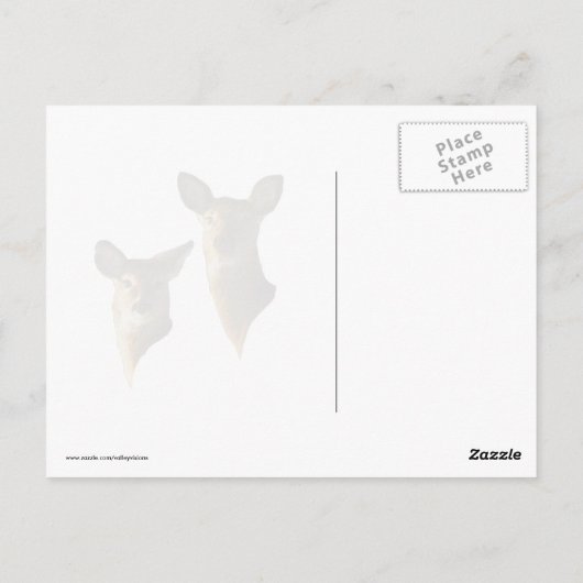 雪のシジカ ポストカード (裏面)