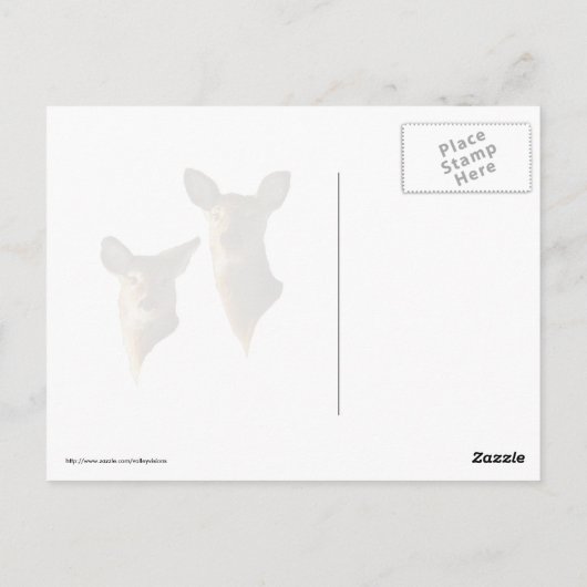 雪のシジカ ポストカード (裏面)