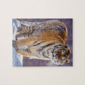 雪のシベリアの虎、中国 ジグソーパズル (横)