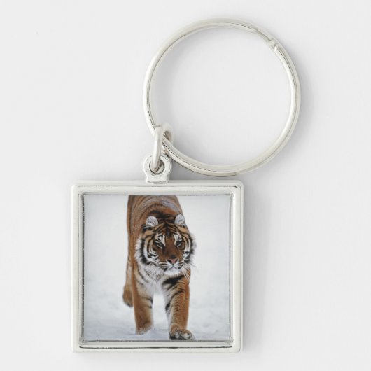 雪のシベリアトラ キーホルダー (正面)