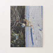 雪のシベリアンハスキー ジグソーパズル (縦)