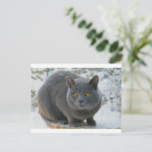 雪のシャルトレウ ポストカード (スタンド正面)