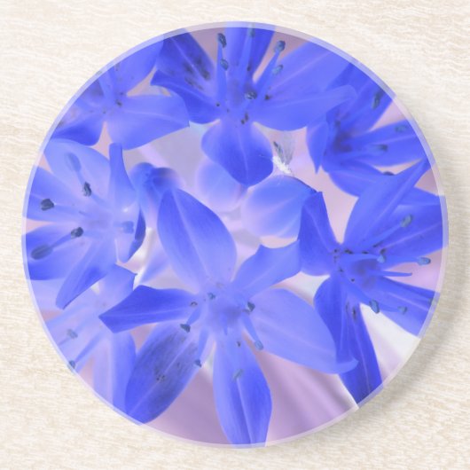 雪のショッキングな青いコースターの栄光 コースター (正面)