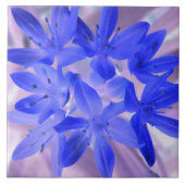 雪のショッキングな青いタイルの栄光 タイル (正面)