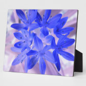 雪のショッキングな青いプラークの栄光 フォトプラーク (側面)