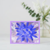 雪のショッキングな青い葉書の栄光 ポストカード (スタンド正面)