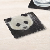 雪のジャイアントパンダ スクエアペーパーコースター (アングル)