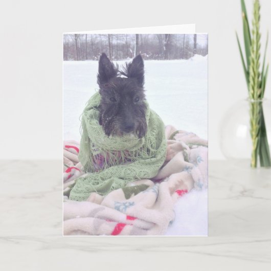 雪のスコッチテリア カード (正面)