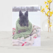 雪のスコッチテリア カード (黄色い花)