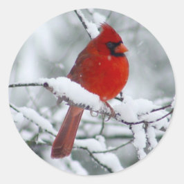 雪のステッカーの赤い（鳥）ショウジョウコウカンチョウ ラウンドシール