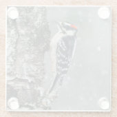 雪のダウンウッドペッカー – オリジナル写真 ガラスコースター (裏面)