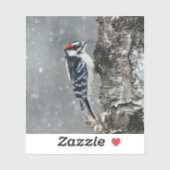 雪のダウンウッドペッカー – オリジナル写真 シール (シート)