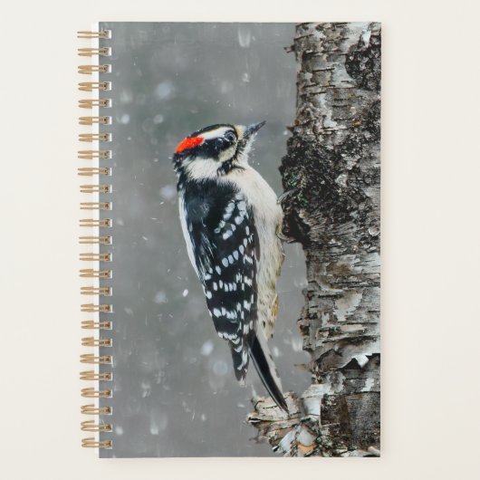 雪のダウンウッドペッカー – オリジナル写真 プランナー手帳 (正面)